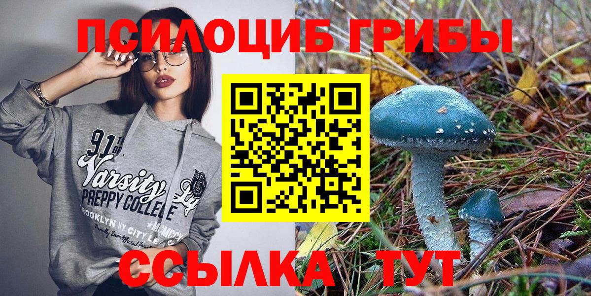 Елабуга  Псилоцибиновые грибы MAGIC MUSHROOMS  Вход с VPN  Псилоцибиновые грибы ЛСД 