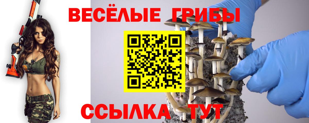 Псилоцибиновые грибы мицелий Елабуга